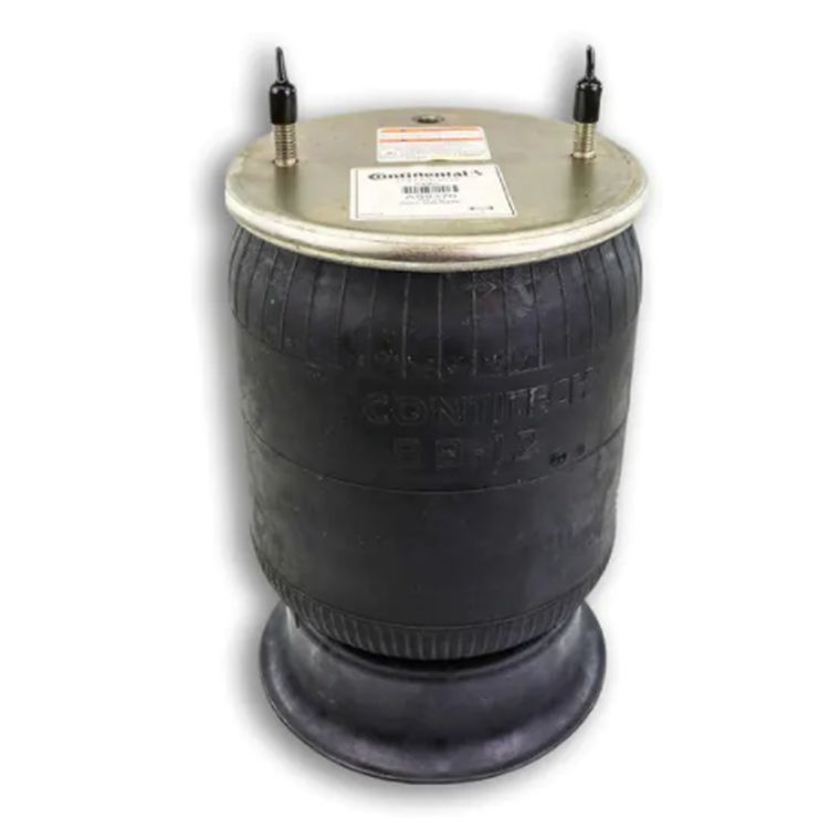 Freightliner Airlinr Air Spring